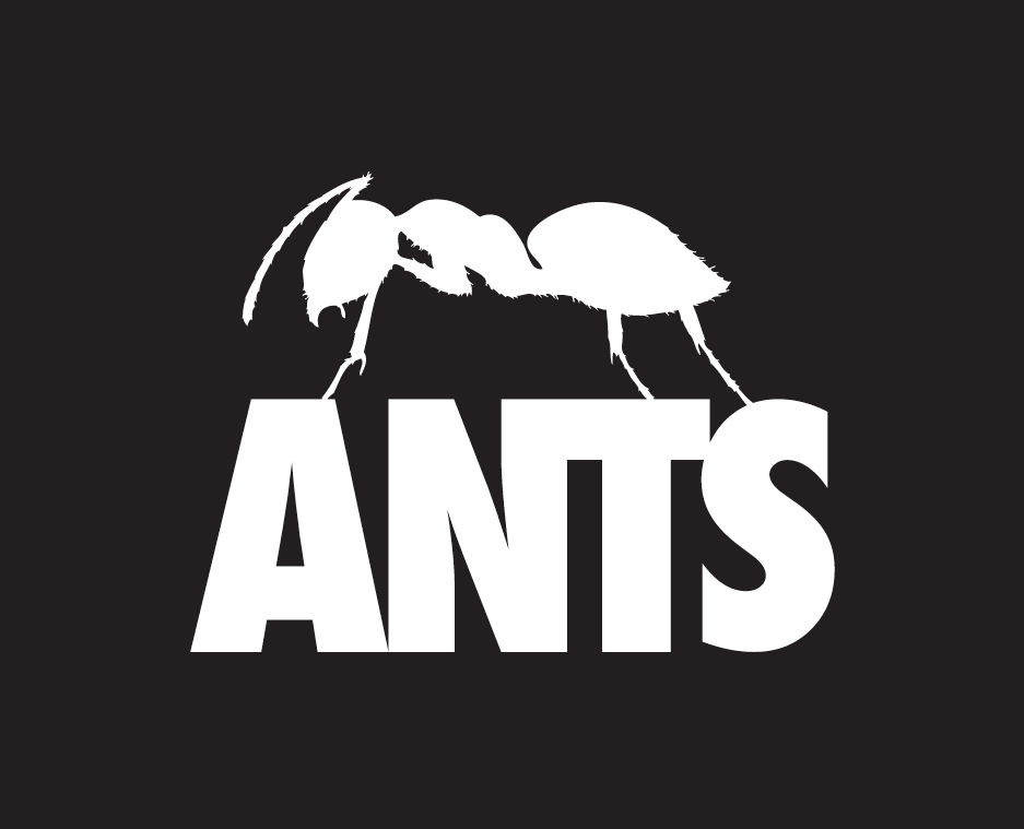 ANTS 2026: Zamna Tulumon indul